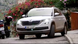 Škoda Kodiaq 14 TSI 4x4 [upl. by Aenil]