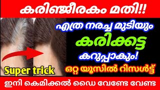 ഇനി വെളുത്ത മുടി കാണാൻ പറ്റില്ല  Homemade hair dye making  Hair dye making at home  Strong hair [upl. by Saber]