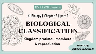 Biological Classification  Class 11 Biology  Chapter 2 Part 2 [upl. by Isbella606]