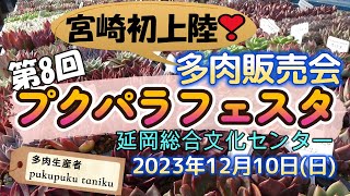 多肉販売会【第8回 プクパラフェスタ】in宮崎 多肉生産者「pukupuku taniku」 [upl. by Raknahs474]