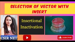 Insertional Inactivation  Replica Plating  Selection of Vector with Insert  L3  CSIR UGC NET [upl. by Studner]