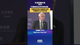 牛津大学教授：在推动全球愿景实现方面中国展现非凡影响力 [upl. by Mikihisa360]