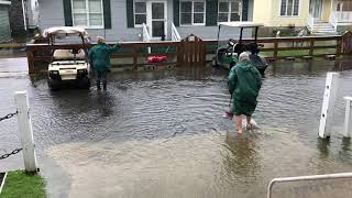 Tangier Island residents wading through water after church [upl. by Ailiec]