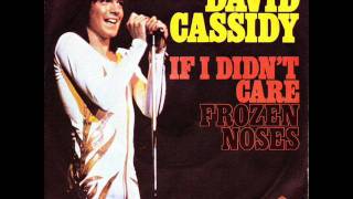 David Cassidy  If i Didn´t Care [upl. by Hillery]