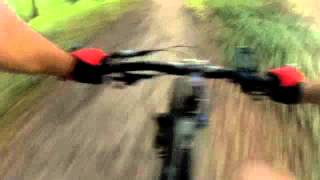 VTT Single Track au Waldeck Mulhousem4v [upl. by Bohannon]