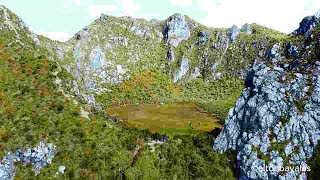 Mt Apo Summit  Dayhike  Sta Cruz Trail  Mt Apo Berries  Highest Mountain in the Philippines🇵🇭 [upl. by Eelimaj725]