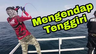 Jigging di Unjam Penang  Teknik Jigging Tenggiri [upl. by Forras914]