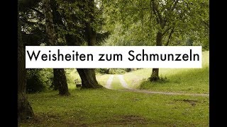 witzige Zitate amp lustige Sprüche  Weisheiten zum Schmunzeln [upl. by Patin]