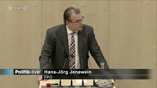 HansJörg Jenewein  Regierungserklärung  20122017 [upl. by Linnette]