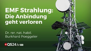 Strahlende Gefahren Wie Elektrosmog unsere natürliche Schwingungsfrequenz stört  QS24 [upl. by Lisabet]