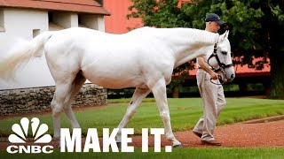 Orangeville Horses Pull 18000 lbs 2013 [upl. by Sidnac]