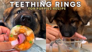 Teething Rings For Puppies Recipe [upl. by Ressan945]