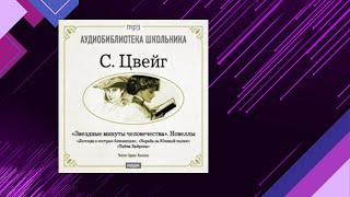 📘Звездные МИНУТЫ человечества Новеллы Стефан Цвейг Аудиофрагмент [upl. by Drwde]