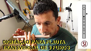 Como fazer TODAS as notas na flauta transversal de 9 de furos [upl. by Stout715]