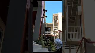 Aluminum louvers installation shortvideo [upl. by Esekram]