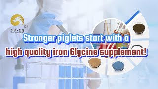 Stronger piglets start with a high quality Iron Glycine supplement [upl. by Yorgos397]