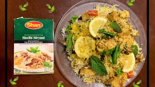 Sindhi Biryani with Shaan Masala Easy Biryani Recipe Simple Recipe to authentic tasting biryani [upl. by Mauve]