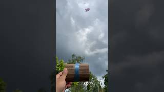 THE KITE FLIES WELL‼️🪁shorts tabanog kiteflying short [upl. by Erodeht]