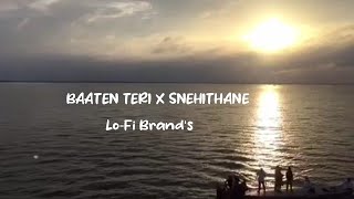 Baatien Teri Yaadein Teri original songBaatein Teri Yaadein Teri Tiktok Trending song LoFi Brands [upl. by Courtnay]