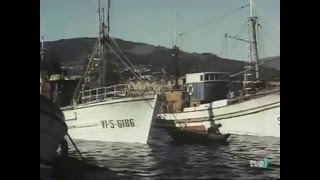 El Peregrino  Documental sobre Galicia 1963 [upl. by Heeley237]