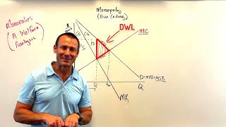 A Welfare Analysis of A Firm with a Monopoly [upl. by Einhorn]