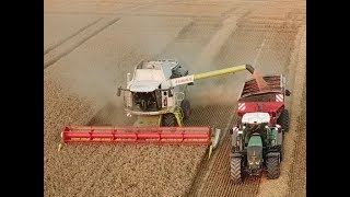 New Claas Lexion 750 mit Vario 930 und Horsch Überladewagen und diverse Fendt Traktoren [upl. by Laverne]