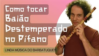 Como tocar Baião Destemperado no Pífano  Barbatuques [upl. by Zenobia332]