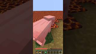 Minecraft entire world is Magma block but I can touch meghama [upl. by Dawes]