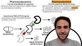 CYP Enzyme Inhibitors amp Inducers Psychotropic DrugDrug Interactions [upl. by Devonna]