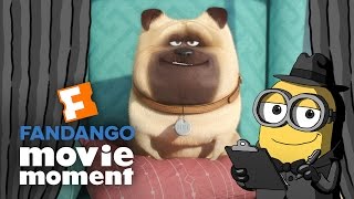 Minions At the Movies React to The Secret Life of Pets  Fandango Movie Moment 2016 [upl. by Hnao]