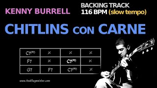 Chitlins Con Carne 116 BPM slow Backing Track [upl. by Nylirem588]