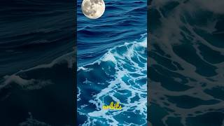 How moon is affecting ocean tides sciencefacts snapsciencedidyouknow oceanfacts moonfacts [upl. by Aibat]