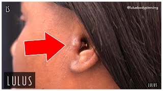 Wow This Tragus Piercing Is BAD [upl. by Lajes]