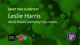 Meet the Scientist Leslie Harris Polychaetes [upl. by Reine]