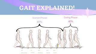 Gait Range of Motion Animation [upl. by Gefell]