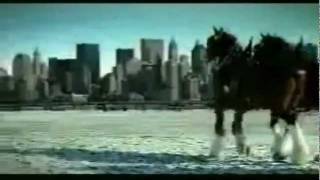 Budweiser 911 tribute commercial [upl. by Herc]