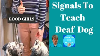 Hand Signals  How To Work With A Deaf Dog [upl. by Johannessen]