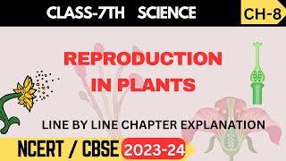 Class 7 Science  Chapter 8 Reproduction in Plants  NCERT Explanation [upl. by Asiar]