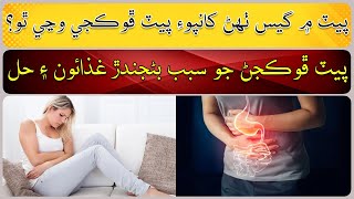 Foods and solutions that cause flatulence [upl. by Paapanen526]