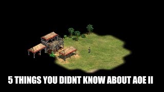 5 Things You Probably Didnt Know About AoE II [upl. by Noryd]