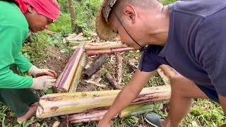 INSTRUCTIONAL Paano gumawa ng Raised Bed Permaculture [upl. by Claudetta]