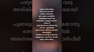 Eethu kari ravilum lyricsmalayalam lyrics shorts trending shortsfeed song [upl. by Neelrac]