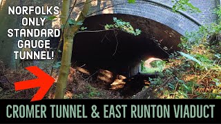 Cromer Tunnel amp East Runton Viaduct Disused Railway Explore [upl. by Imis]