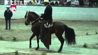 Gran Campeonato de Caballos Paso Fino Colombiano  Sogamoso 2013 [upl. by Wolram]