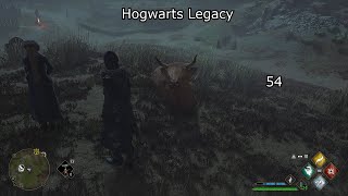 Hogwarts Legacy 54  First Play Through  No Commentary [upl. by Marielle306]