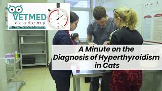 A Minute on the Diagnosis of Hyperthyroidism in Cats [upl. by Ymma444]