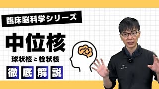 【☑︎小脳】リズム聴覚刺激RAS音楽療法のエビデンスと有効性とは⁉︎ 脳梗塞 [upl. by Constanta]