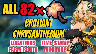 All 82 Brilliant Chrysanthemum Locations amp farm route  Genshin Impact Xilonen ascension materials [upl. by Giamo]