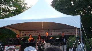 Roncesvalles Polish Festival 2012 Zespol Impuls Toronto Canada  Musica6 [upl. by Sucram]