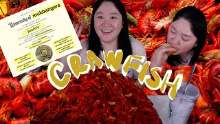 crawfish seafood boil mukbang  best crawfish in Austin [upl. by Calie410]